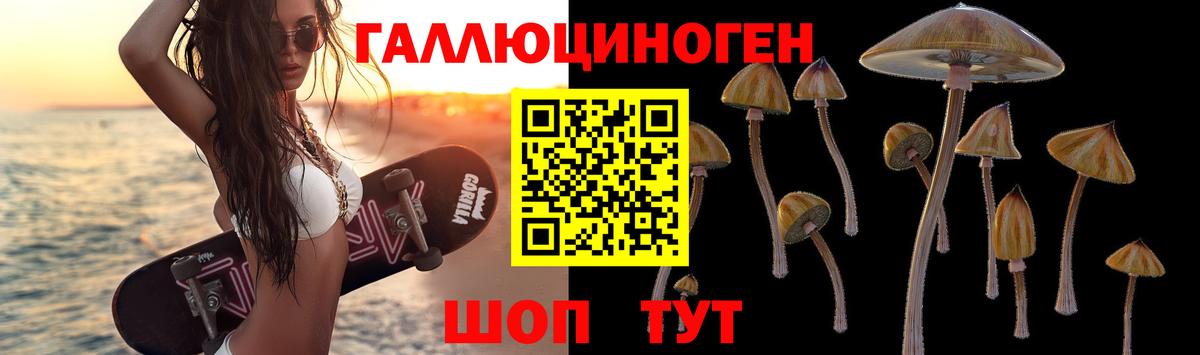 Выкса  Галлюциногенные грибы прущие грибы  Вход с VPN 